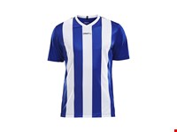 Craft - Progress Jersey Stripe M Club Cobolt 3XL