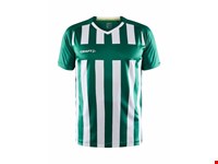 Craft - Progress 2.0 Stripe Jersey M Team Green/White L