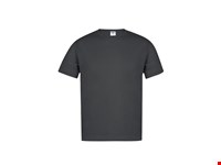 Volwassene Kleuren T-Shirt 