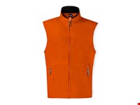 Vest Forest