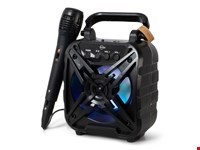 BRAINZ Karaoke Speaker Wheatstraw