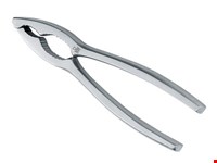 Due Cigni Notenkraker 16.7cm