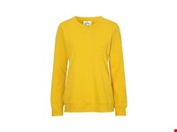 SWEATER CREW NECK LADY  Geel S