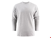 Heavy L/S T-Shirt Heren Grijs Mêlée L