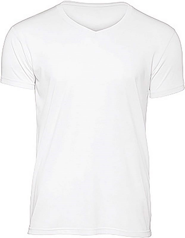 B&C TriBlend V-neck TEE