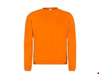 Volwassene Sweatshirt 