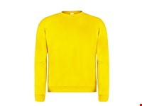 Volwassene Sweatshirt 