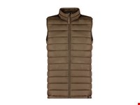 Vest Rostol
