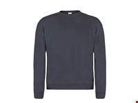 Volwassene Sweatshirt 
