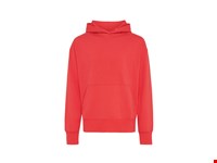 Iqoniq Yoho gerecycled katoen relaxed hoodie