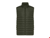 Iqoniq Meru heren gerecycled polyester bodywarmer