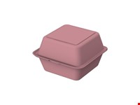 Burger box 