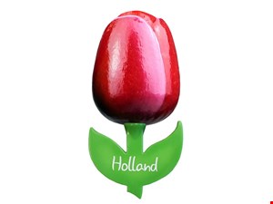 Nijhuis Tulp Magneet 825 | Aubergine/Wit Amsterdam 2709 | 6cm (10 Stuks)