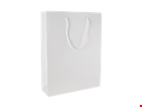 Glans gelamineerde papieren tas 220x100x275 mm