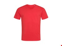Stedman® - Stretch-T Relaxed