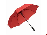Automatisch te openen windproof paraplu PASSAT