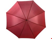 Polyester (190T) paraplu Andy