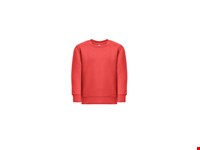 THC DELTA KIDS. Sweatshirt voor kinderen van gerecycled katoen en polyester